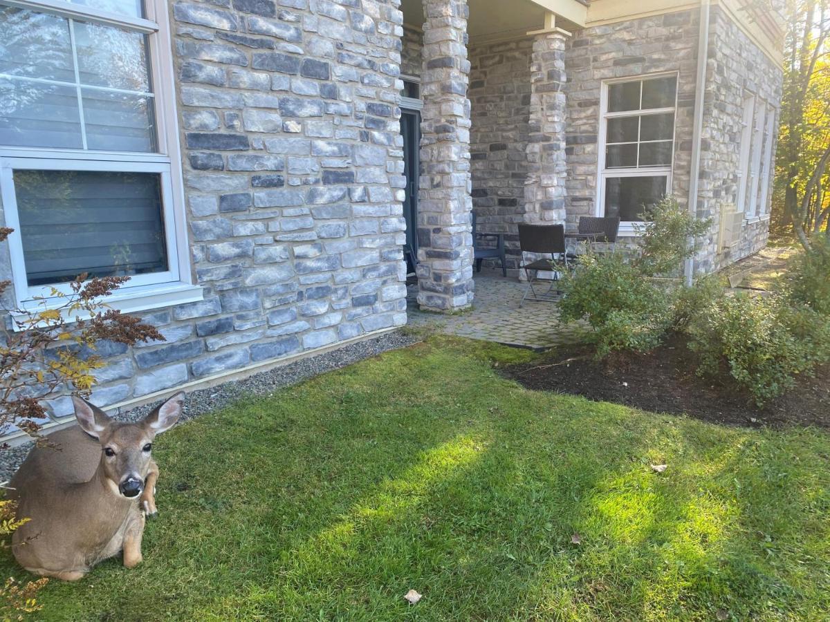 Rental Condo Tremblant-Les-Eaux Mont-Tremblant Bagian luar foto